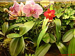 DSC00044