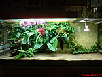 DSC00060