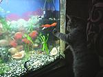 Photo0171