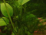 DSC04031