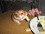 IMG 2369