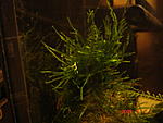 DSC04030