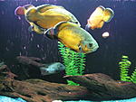 IMG 4734