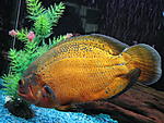 IMG 4759