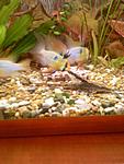 Photo 0006