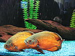 IMG 4761