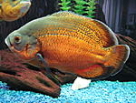 IMG 4760