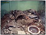 img2797cz5