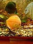 Photo 0003