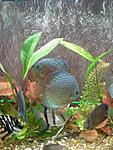 Photo 0024