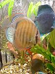 Photo 0029