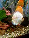 Photo 0023