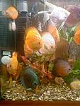 Photo 0036