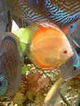 Photo 0009