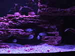 DSCF3170