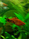 IMG 20150205 193135