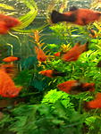 IMG 20150205 180506 5