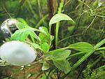 IMG 6874