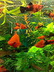 IMG 20150205 180506 1