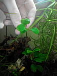 IMG 20150128 193758