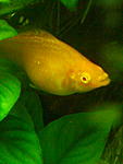 IMG 20150205 181116