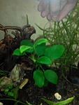 IMG 20150128 193859