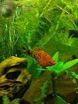 IMG 20150205 193125