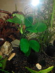 IMG 20150128 193839
