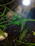 IMG 20150128 193828