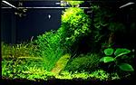 user17923 pic61053 1301385333