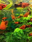 IMG 20150205 180506 4