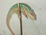 DSC06183