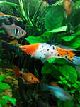 IMG 20150205 193242