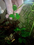 IMG 20150128 193812