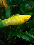 IMG 20150205 181203