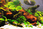 DSC 0901