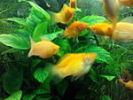 IMG 20150205 181238
