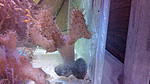 IMG 20150127 221951