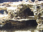 DSCF3135