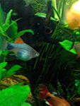 IMG 20150205 193221
