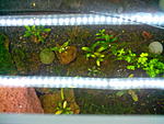 IMG 20120105 080331