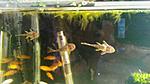 IMG 20150210 152502[1]