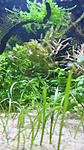 IMG 5562