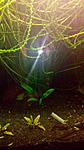 IMG 20150216 213906