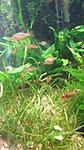 IMG 8824