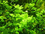 P2040310