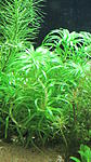 IMG 5470