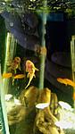 IMG 20150210 151507[1]