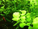 P2040313