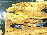 DSCF3259